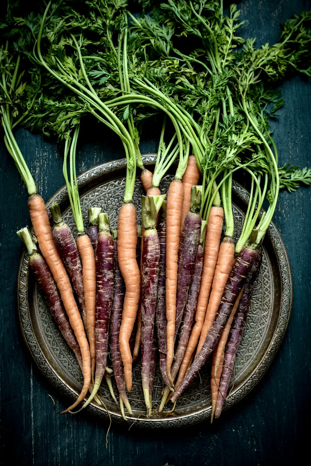 Purple and orange heirloom carrots with their green tops on a dark dish