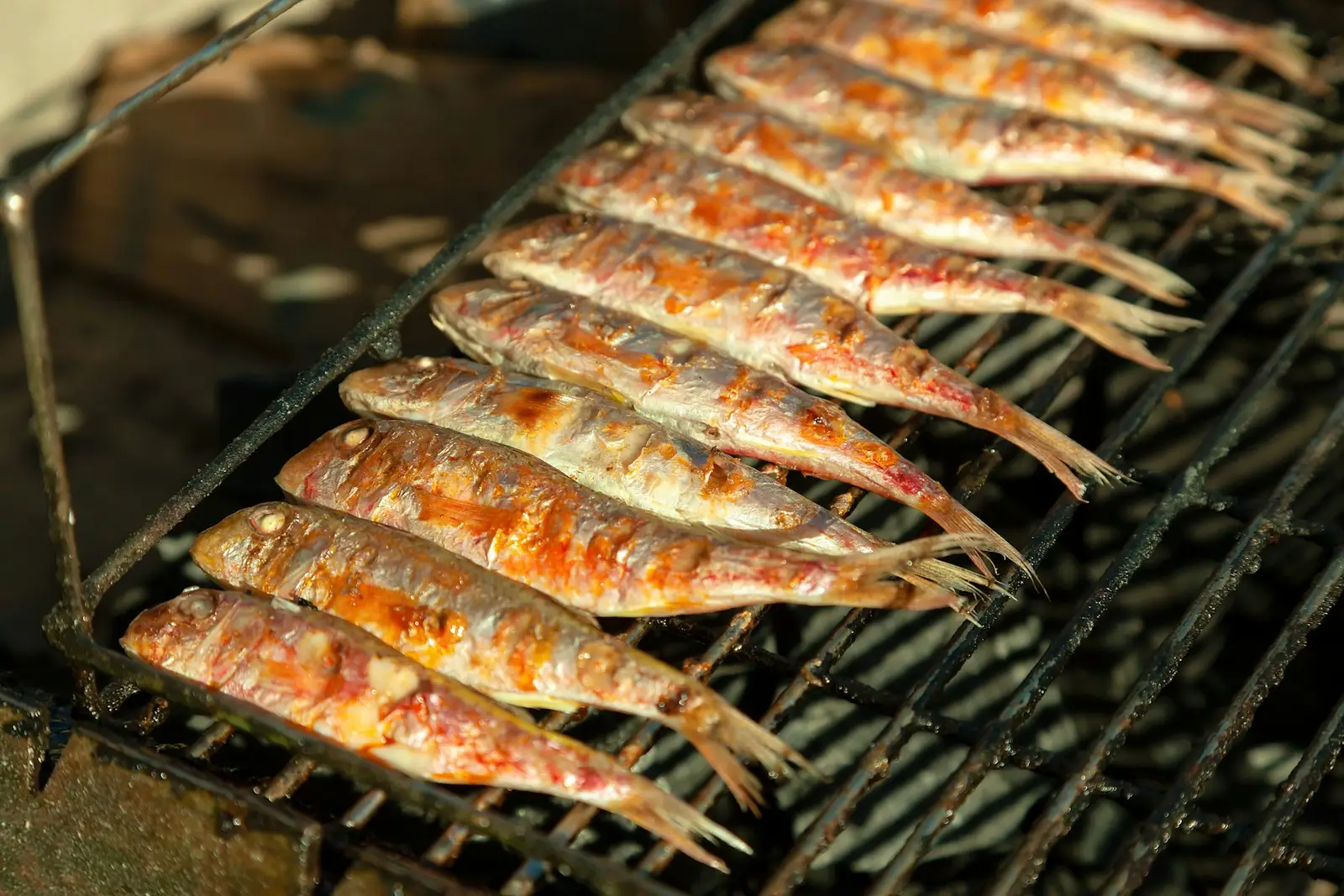 Rows of small whole fish cooking on a grill over glowing coals