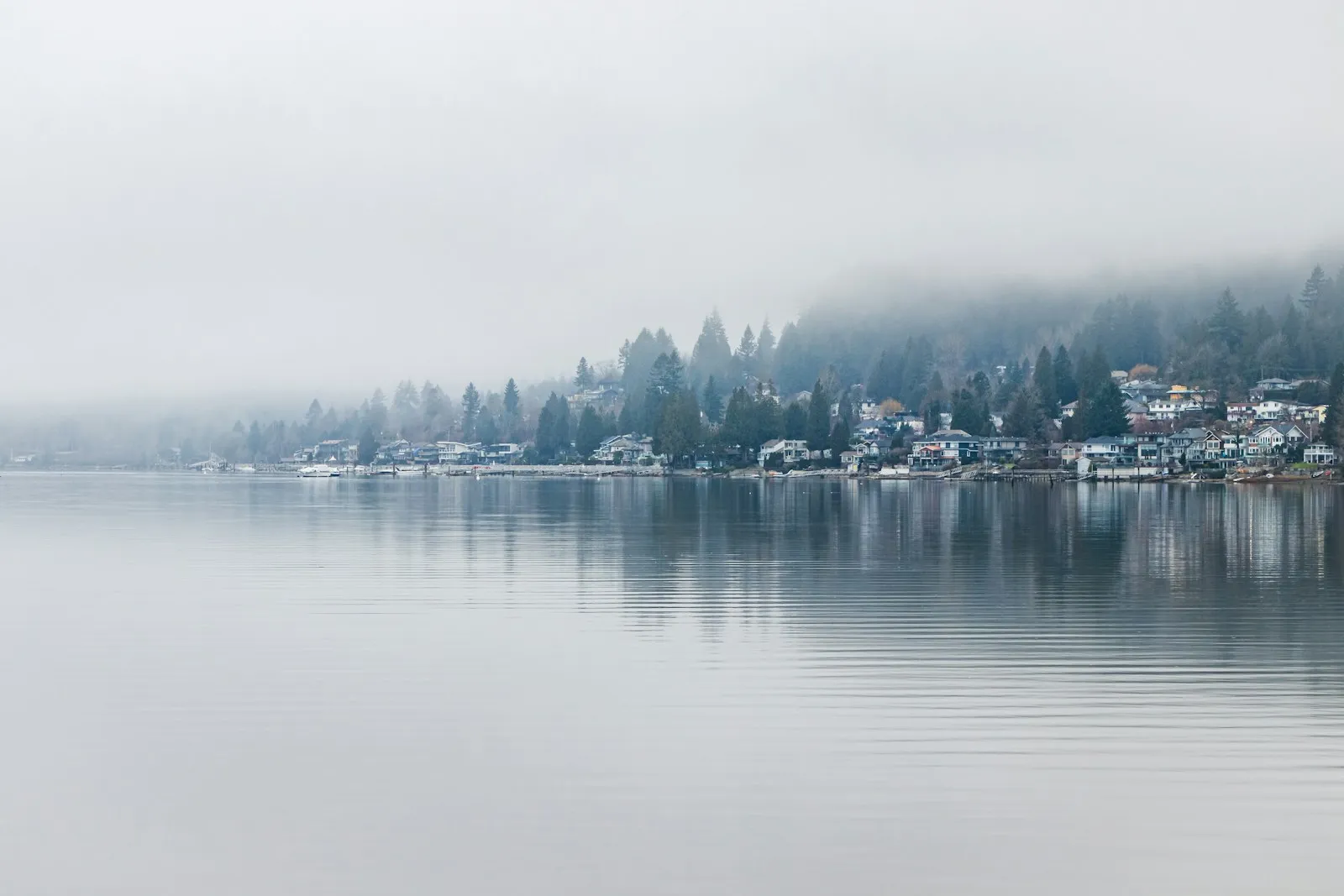 Wooded shoreline and houses on the far side of a mirror-calm firth, softened by mist.