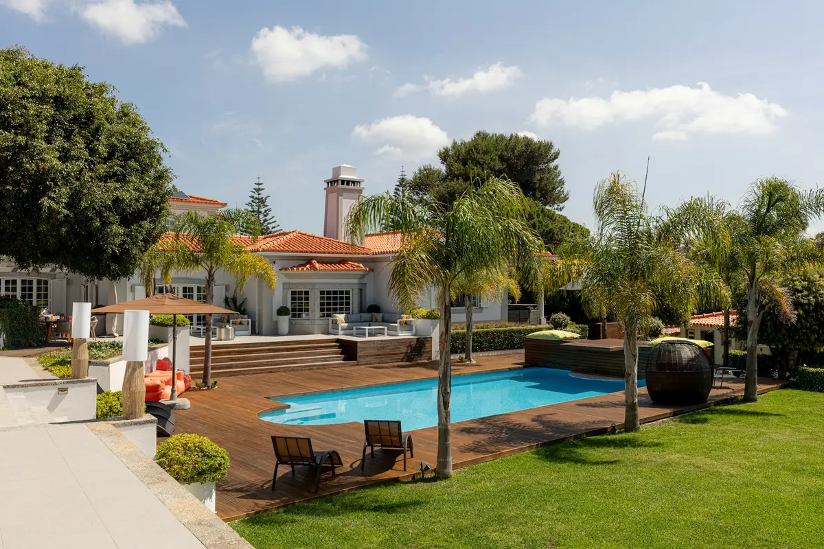 A back-yard pool with palms and a lawn