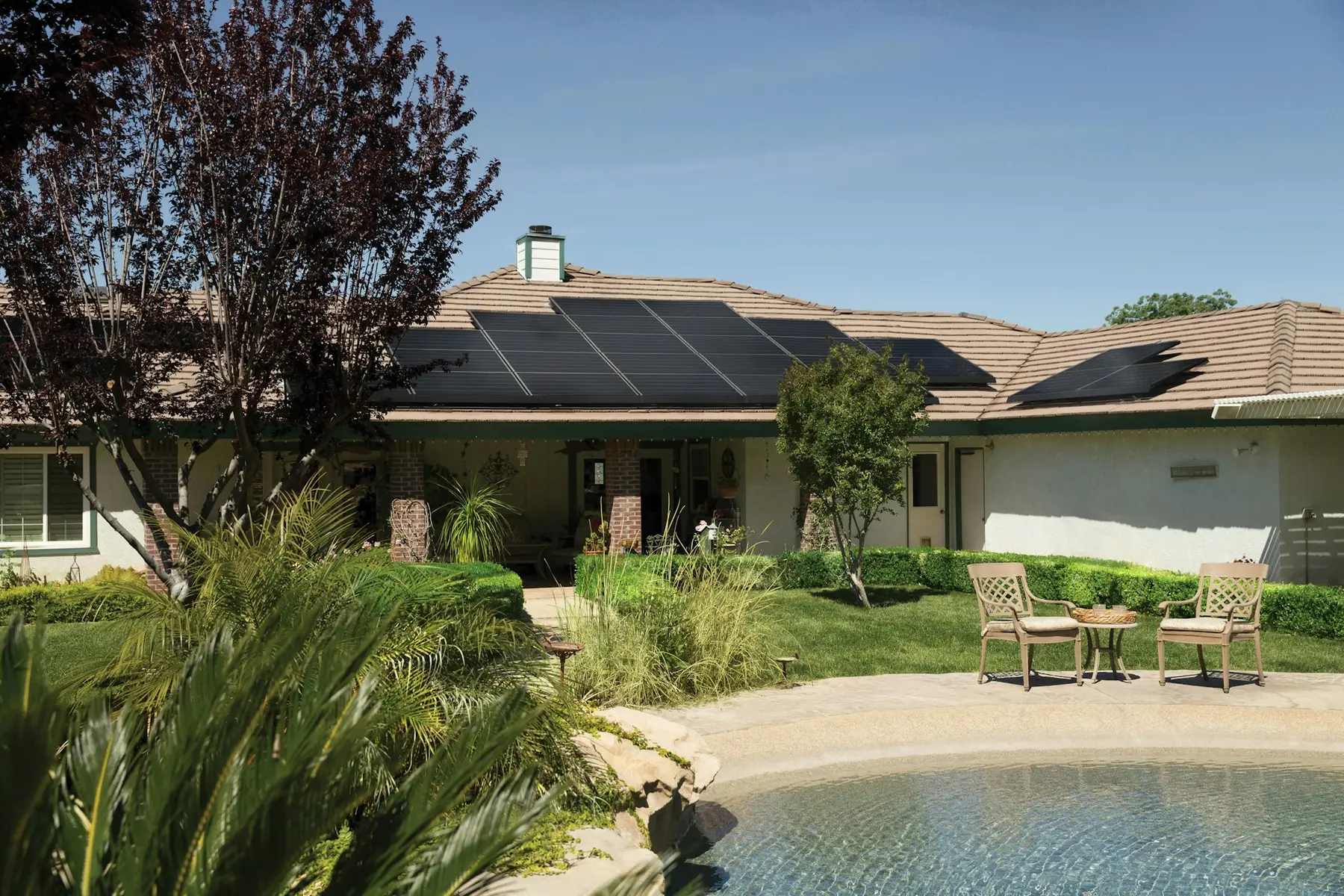 A single-storey home with solar panels on the roof, palms and a pool in the back yard