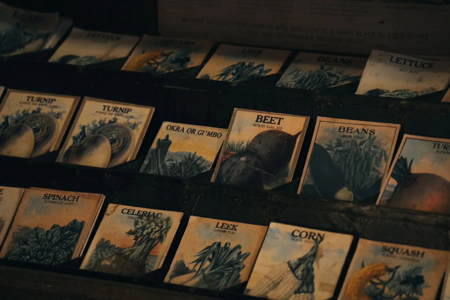 Rows of illustrated vintage seed packets on wooden shelves
