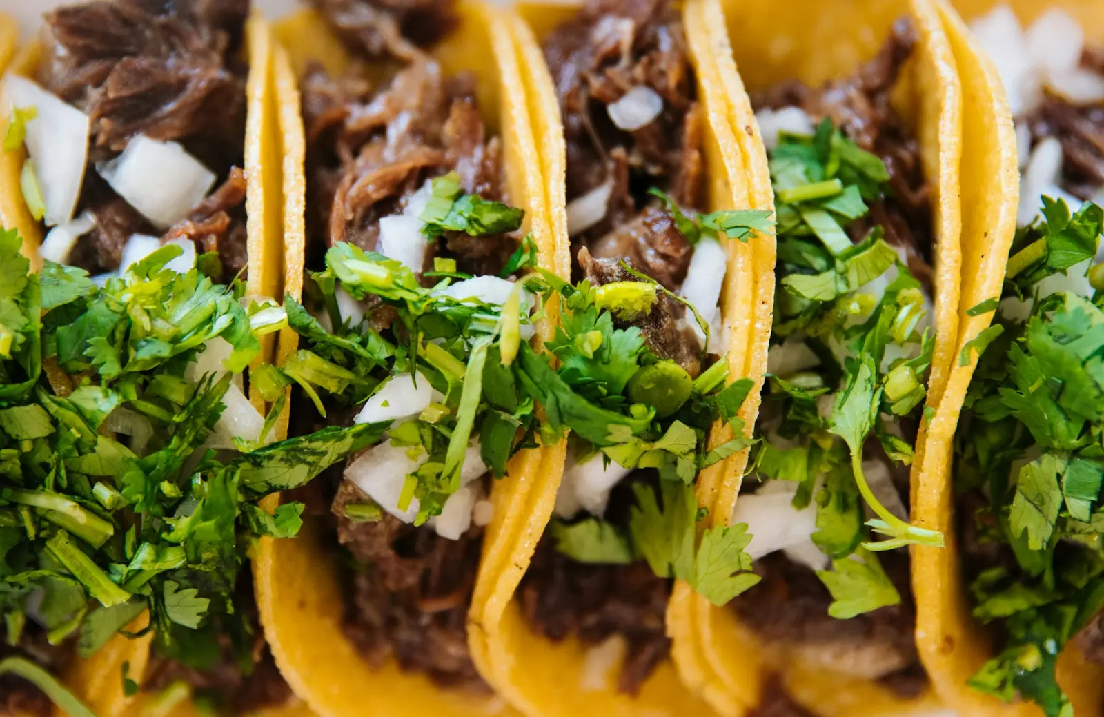 A row of tacos in yellow corn tortillas piled with chopped meat, white onion and cilantro