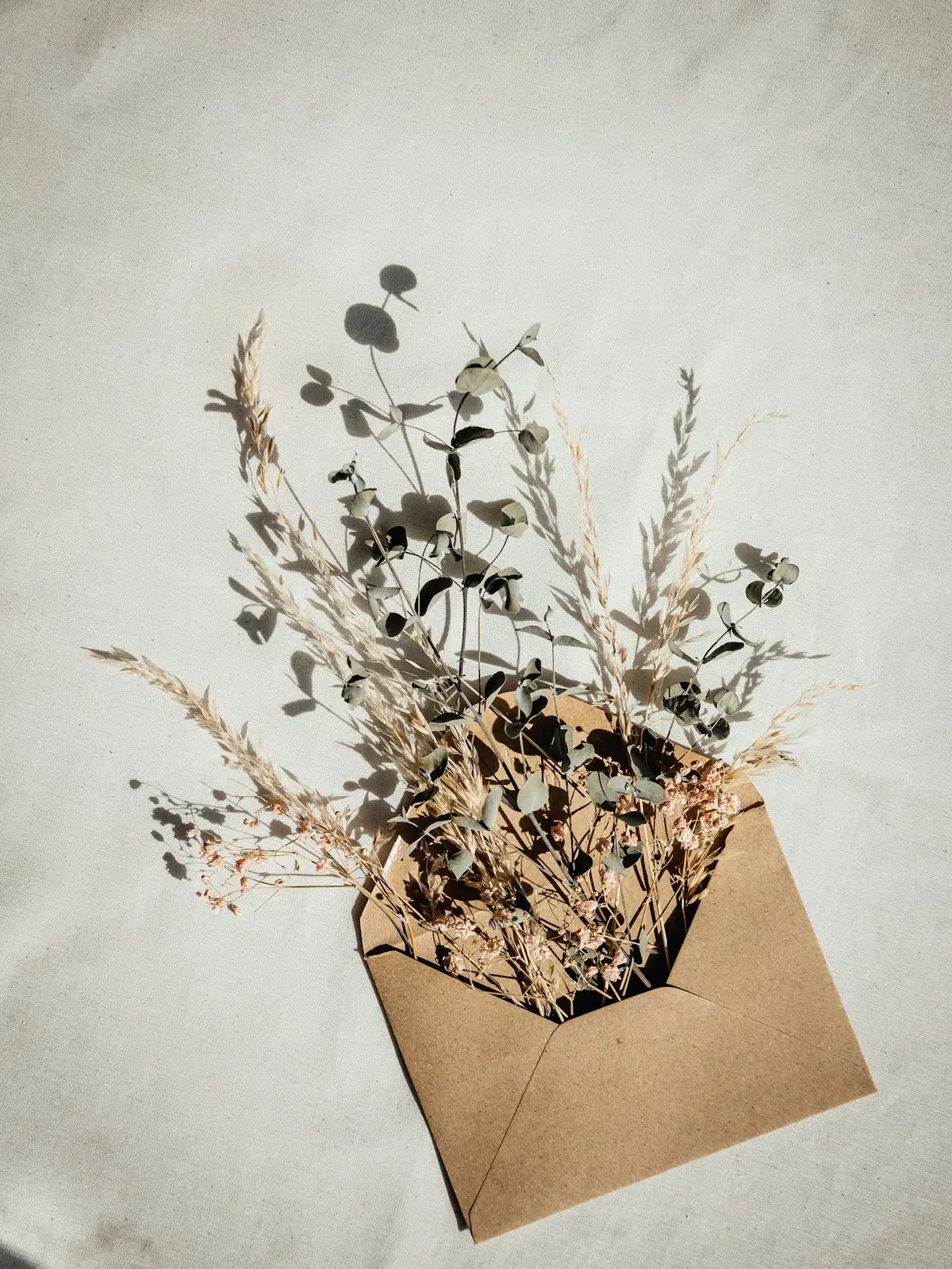 Dried flowers tucked into an open paper envelope